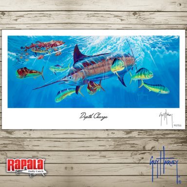 RAPALA 11-4 SECOND PLACE FINAL (1)